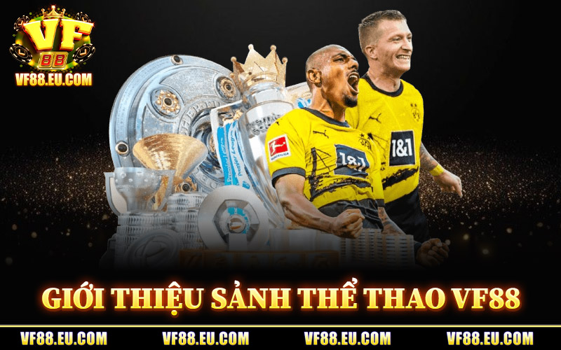 Thể Thao VF88 – Tâm Điểm Cá Cược Với Kèo Nóng Mỗi Ngày 1 Giới Thiệu Sảnh Thể Thao VF88