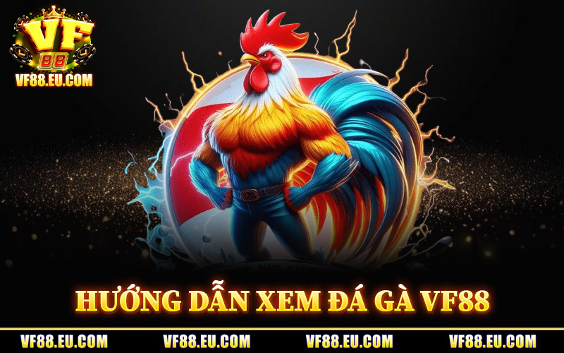 Đá Gà VF88 – Theo Dõi Gà Chiến Nảy Lửa Qua Video Sắc Nét 2 Hướng Dẫn Xem Đá Gà VF88